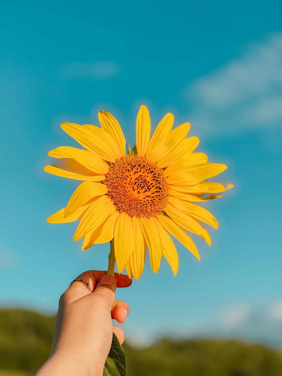 Photo by Xhemi Photo on Pexels.com